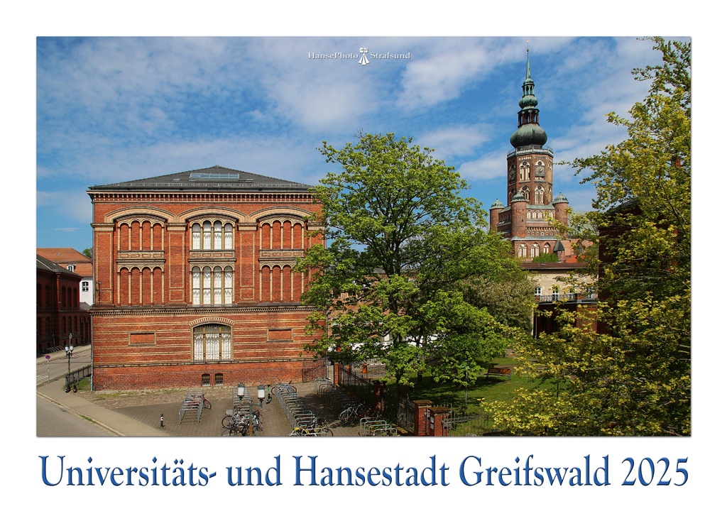 Blick vom Wall auf die Alte Universitätsbibliothek und den Dom St. Nikolai